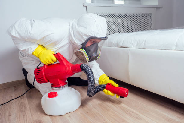 Emergency Pest Control Services in Eastland, TX